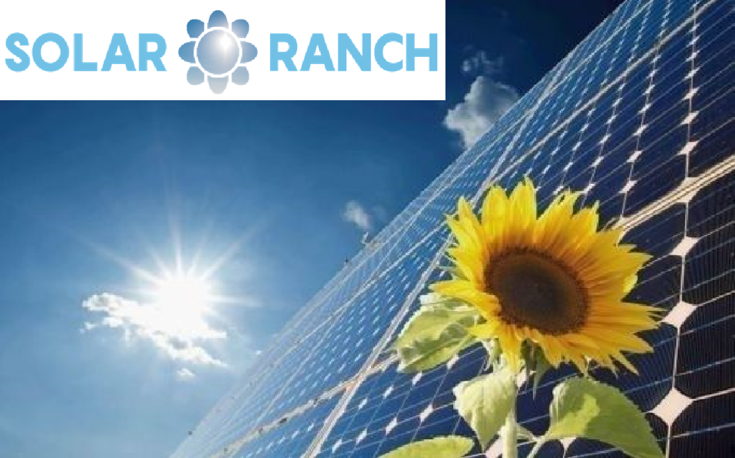 VARTA element S5 Update 12 auf 18