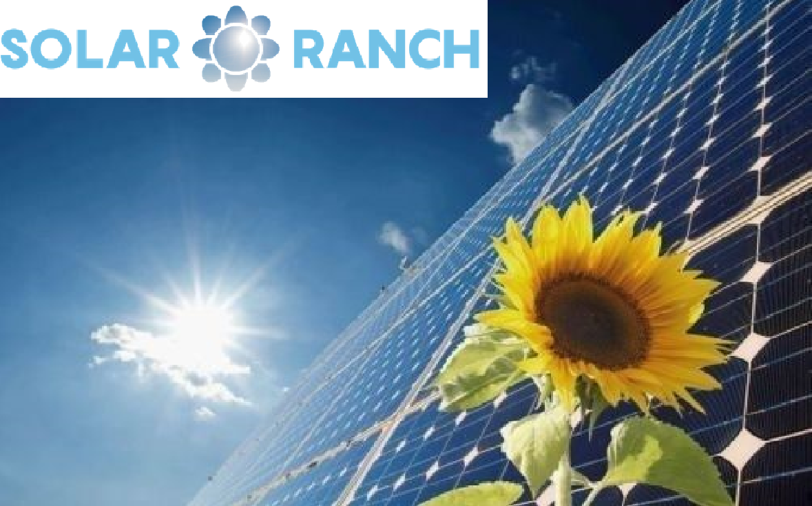 Solaranlage 5.28 kWp, Kostal Plenticore Plus 5.5, BYD HVS 10.2, Hardy Barth Wallbox 11 kW